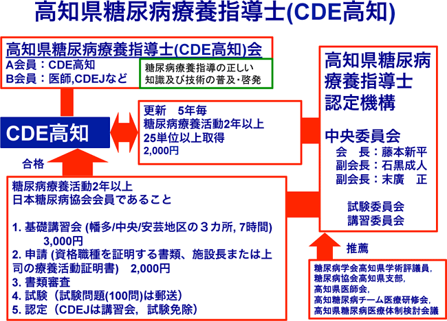 高知県糖尿病療養指導士（CDE高知）